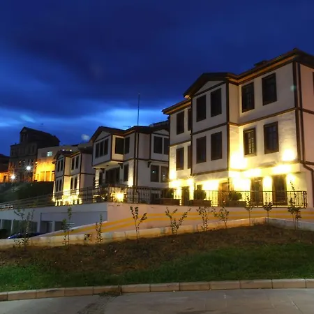 Pensionat Zagnospasa Konaklari 4*