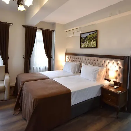 Pensionat Zagnospasa Konaklari 4*