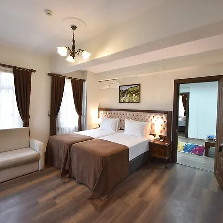 Πανσιόν Zagnospasa Konaklari 4*