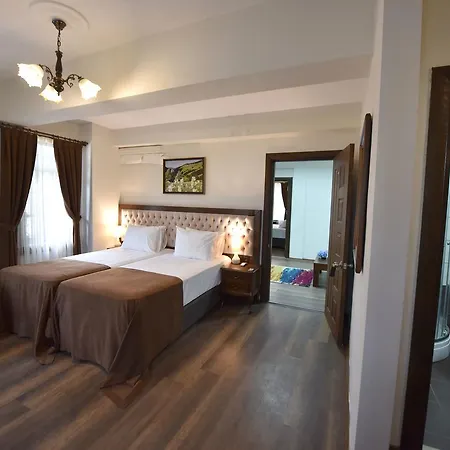 Zagnospasa Konaklari 4*