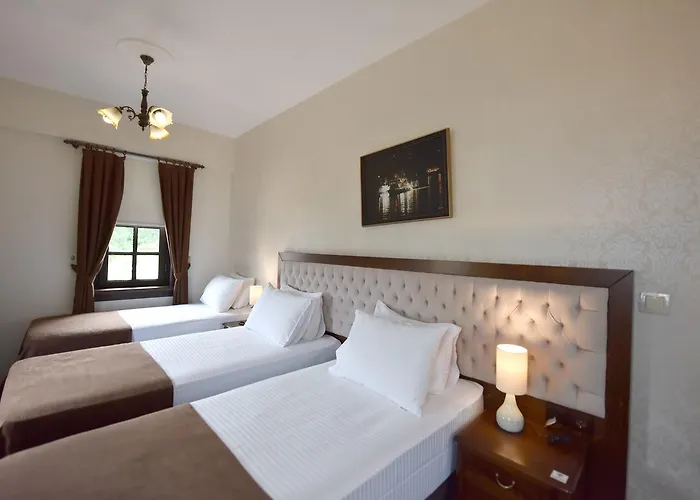 Zagnospasa Konaklari 3*