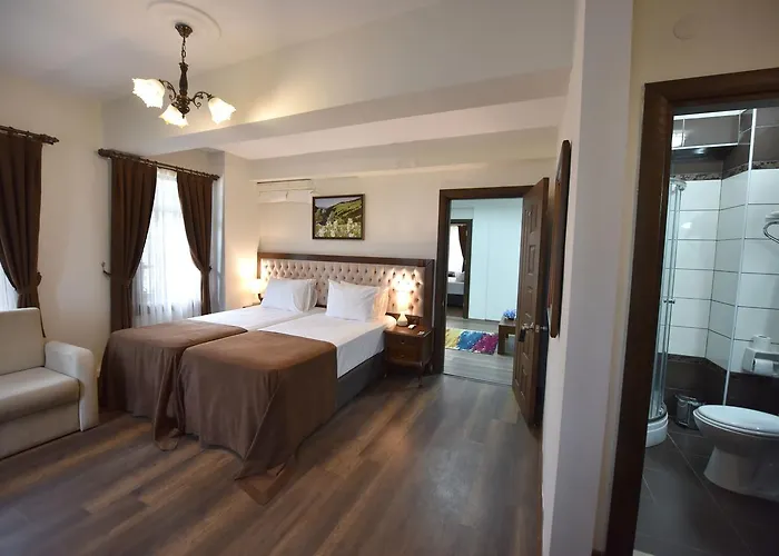 Zagnospasa Konaklari 3*