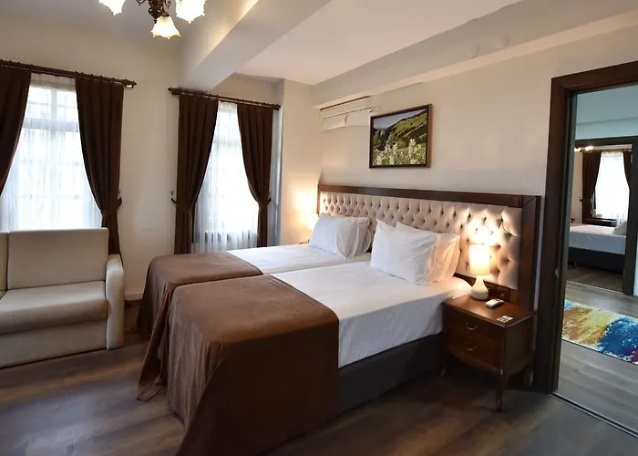 Pensionat Zagnospasa Konaklari 3*