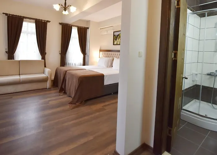 Zagnospasa Konaklari Pensionat Trabzon